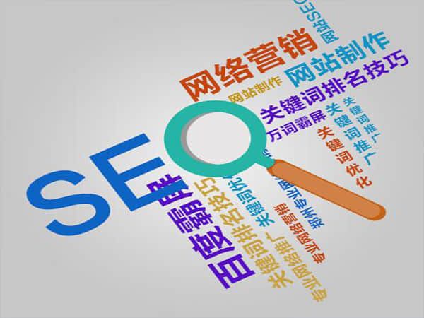 肥城专业SEO网站推广服务:助力您的业务腾飞
